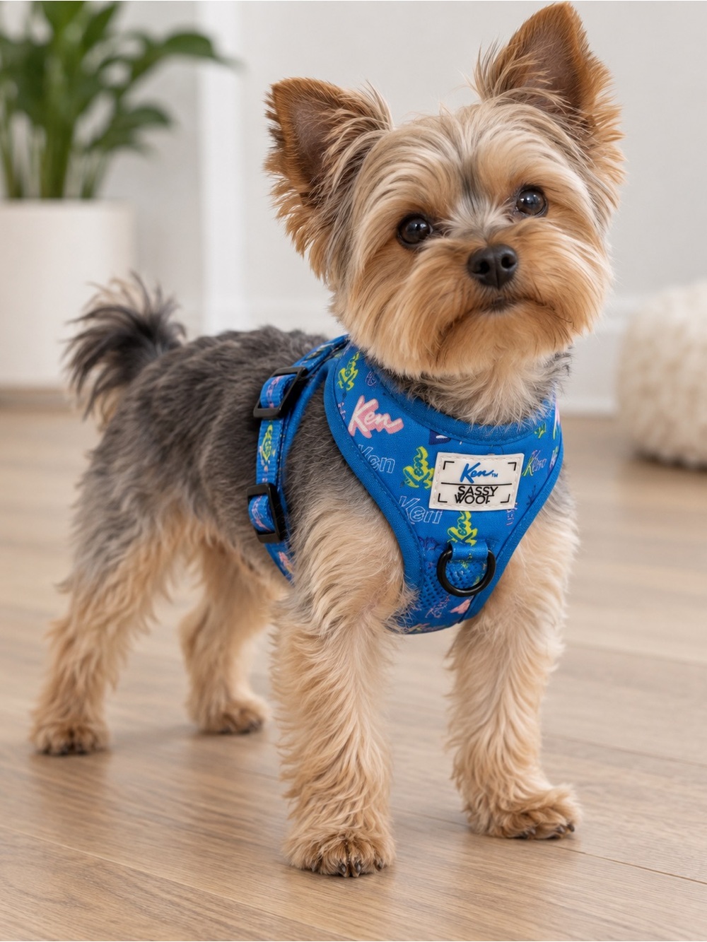 ✨NWT✨Sassy Woof Ken Mattel Blue Small Dog Harness Size XXS